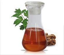 Angelica Root Oil