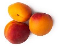 Apricot Oil