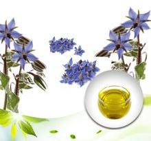 Borage Oil