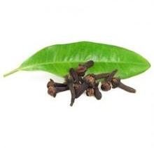 Clove Leaf Essential Oil