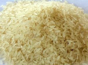 IR 36 Rice