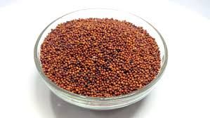 Ragi Seeds