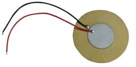 Piezoelectric Plate