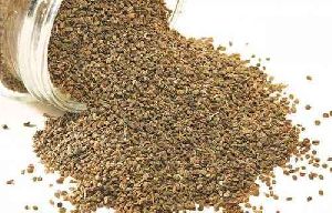 Ajwain Seeds