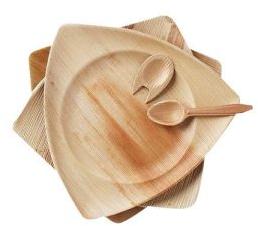 eco friendly areca leaf plate