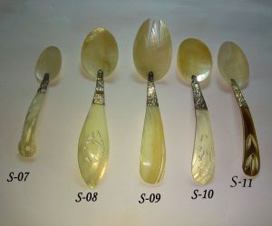 Shell Spoon