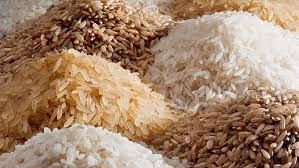 Long Grain Rice