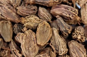 Black Cardamom