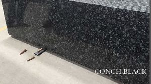 Conch Black Granite Tiles