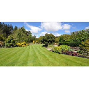 Horticulture Landscaping Services