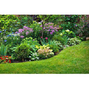 Plant Landscaping Services