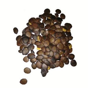 Akino Herbal Seeds