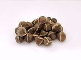 Moringa Herbal Seeds