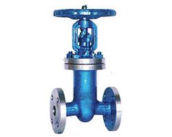 Bellow Sealed Gate Valve