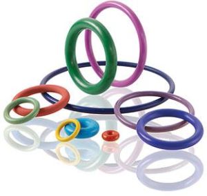 O-Ring