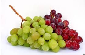 Fresh Grapes