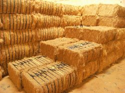 Baled Coir Fibre