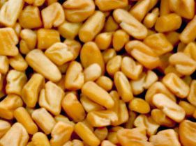 Fenugreek Seed