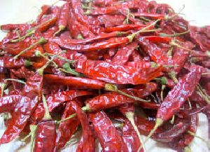 Andhra Red Chili