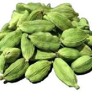 Cardamom