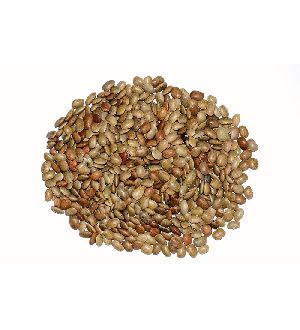 Kulthi or Horse Gram