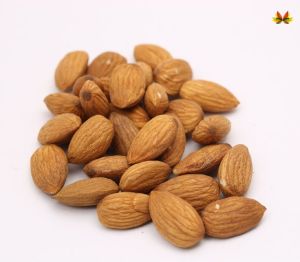 Almond Nuts