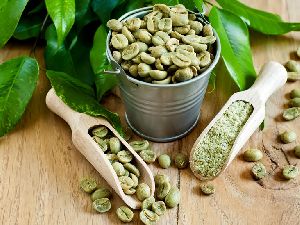 green coffee powder