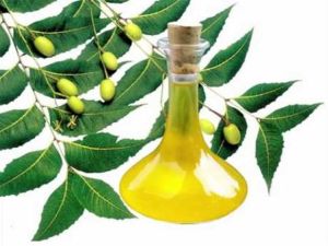 Neem Oil