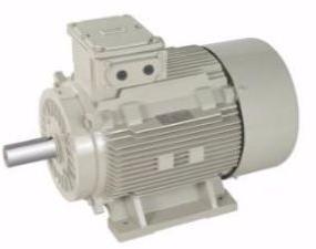 LUBI INDUCTION MOTOR