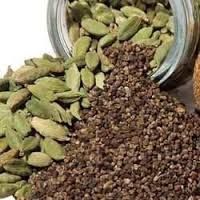 Cardamom