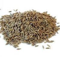 Cumin