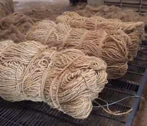 Coir yarn