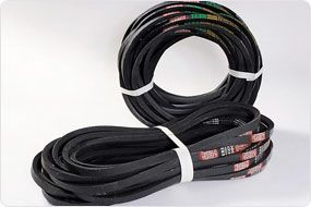 V Belt