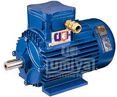 Electric Motor