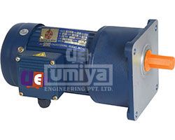 Gear Motor