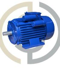 Electric Motors