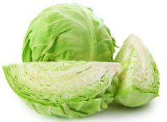 Cabbage