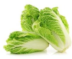 Chinese Cabbage