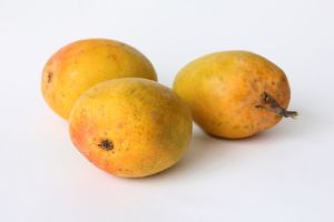 hapus mango