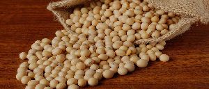 Non GMO Organic Soybean