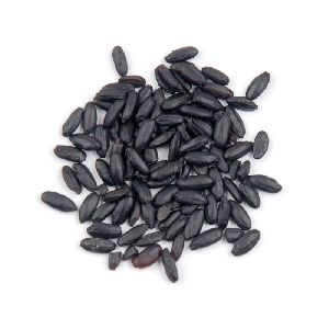 Chinese Black Rice Seeds