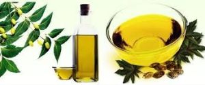 Organic Neem Oil