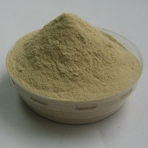 NBV Light Brown Colour Guar Gum