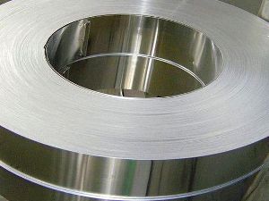 Stainless Steel Strips