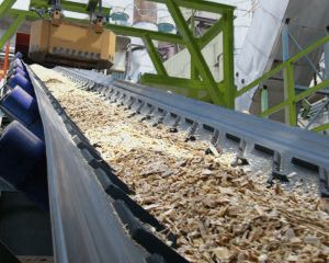 Trough Conveyor