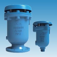 combination air valve