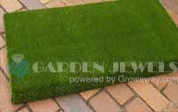 Artificial Grass