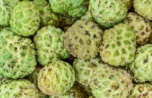 Custard Apple