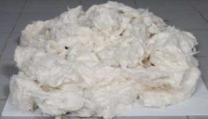 Cotton Waste