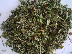 Dehydrated Mint Leaves